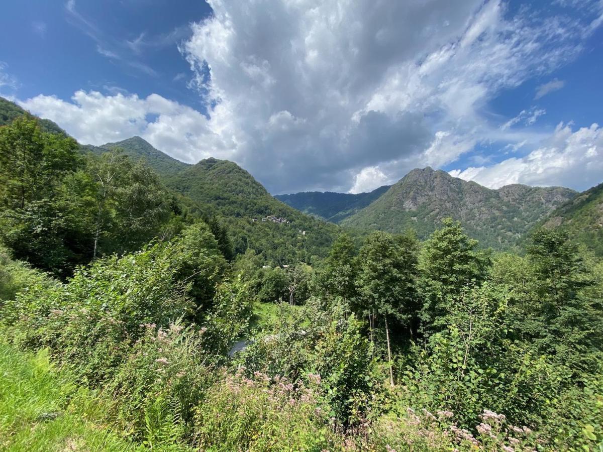 Mountain Cabin Valsesia Appartement Stella วาราลโล ภายนอก รูปภาพ
