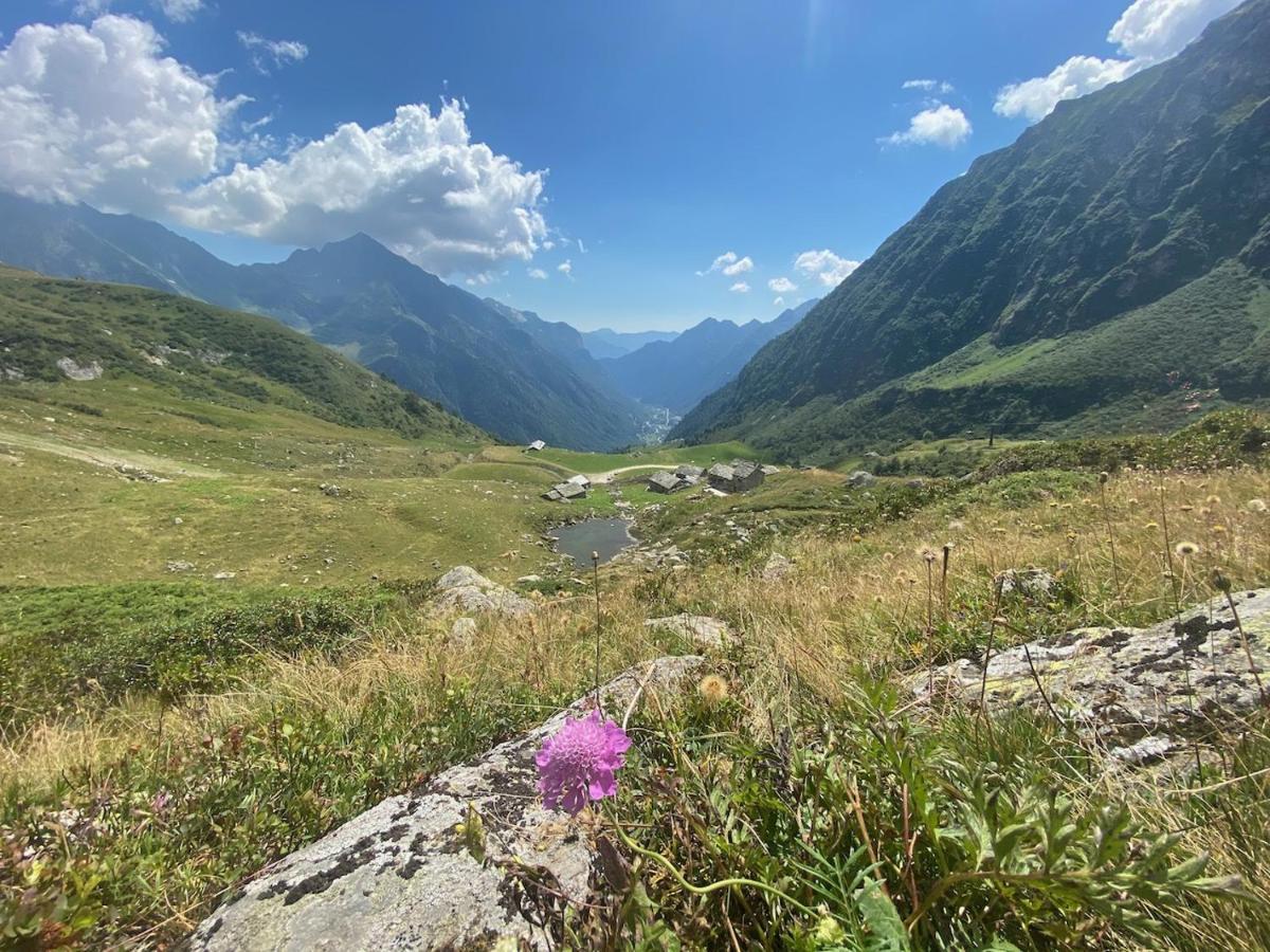 Mountain Cabin Valsesia Appartement Stella วาราลโล ภายนอก รูปภาพ